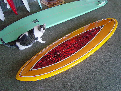 Tyler Warren Tyler Warren